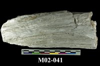 藏品(石棉)的圖片